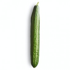 Dutch cucumber 1 Piece